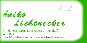 aniko lichtnecker business card
